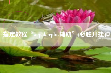 指定教程“wepokerplus辅助”(必胜开挂神 指定教程“wepokerplus辅助”(必胜开挂神