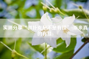 实测分享“微扑克是不是有挂”(原来真的有挂)
