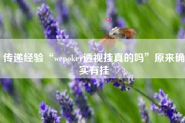 传递经验“wepoker透视挂真的吗”原来确实有挂 传递经验“wepoker透视挂真的吗”原来确实有挂