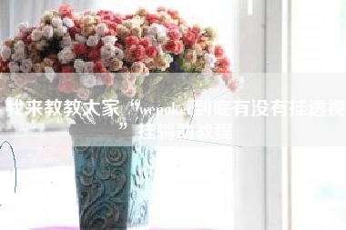 我来教教大家“wepoker到底有没有挂透视”挂辅助教程 我来教教大家“wepoker到底有没有挂透视”挂辅助教程