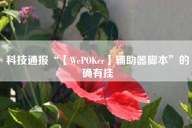 科技通报“【WePOKer】辅助器脚本”的确有挂 科技通报“【WePOKer】辅助器脚本”的确有挂