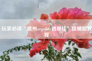 玩家必读“德州wepoker透视挂”挂辅助教程 玩家必读“德州wepoker透视挂”挂辅助教程