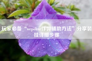 玩家必备“wepoker作弊辅助方法”分享装挂详细步骤 玩家必备“wepoker作弊辅助方法”分享装挂详细步骤