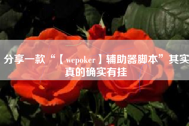 分享一款“【wepoker】辅助器脚本”其实真的确实有挂 分享一款“【wepoker】辅助器脚本”其实真的确实有挂