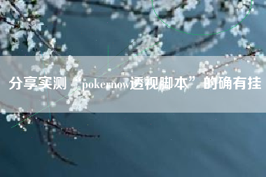 分享实测“pokernow透视脚本”的确有挂