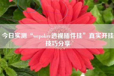 今日实测“wepoker透视插件挂”真实开挂技巧分享